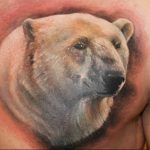 photo tattoo polar bear 05.02.2019 №134 - polar bear tattoo idea - tattoovalue.net