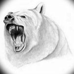 photo tattoo polar bear 05.02.2019 №155 - polar bear tattoo idea - tattoovalue.net