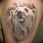 photo tattoo polar bear 05.02.2019 №156 - polar bear tattoo idea - tattoovalue.net