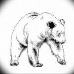 photo tattoo polar bear 05.02.2019 №161 - polar bear tattoo idea - tattoovalue.net
