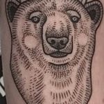 photo tattoo polar bear 05.02.2019 №168 - polar bear tattoo idea - tattoovalue.net