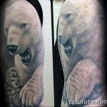 photo tattoo polar bear 05.02.2019 №181 - polar bear tattoo idea - tattoovalue.net