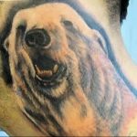 photo tattoo polar bear 05.02.2019 №190 - polar bear tattoo idea - tattoovalue.net