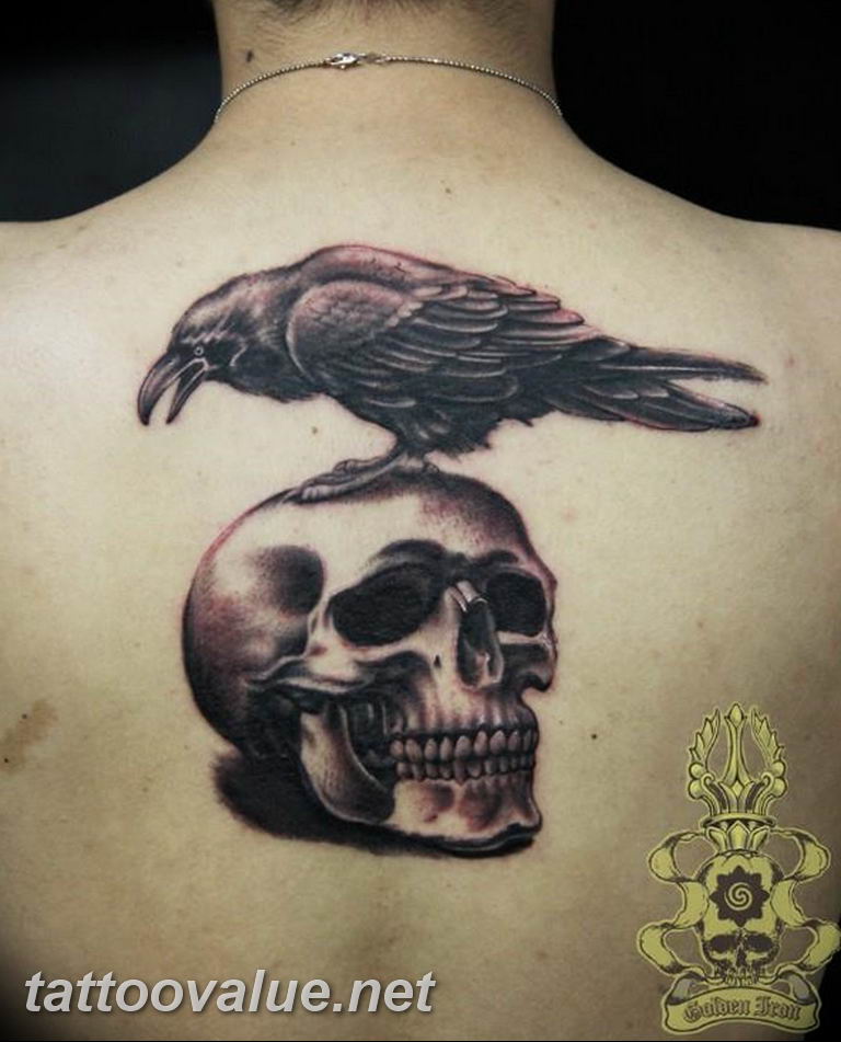 Тату череп с вороном. Череп тату эскиз. Ворон на черепе. Ворона на черепе тату. Тату череп.