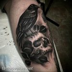 photo tattoo raven on the skull 18.02.2019 №061 - tattoo with skull and raven - tattoovalue.net