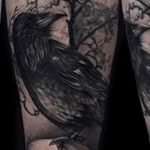 photo tattoo raven on the skull 18.02.2019 №063 - tattoo with skull and raven - tattoovalue.net