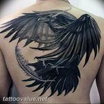 photo tattoo raven on the skull 18.02.2019 №091 - tattoo with skull and raven - tattoovalue.net