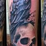 photo tattoo raven on the skull 18.02.2019 №117 - tattoo with skull and raven - tattoovalue.net