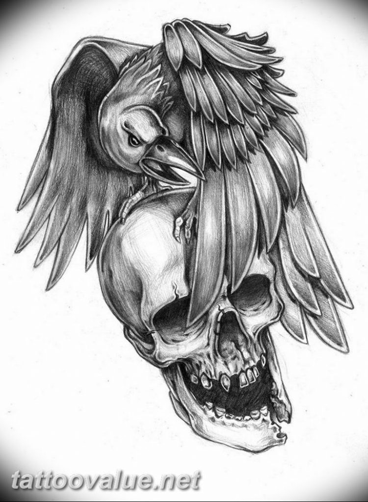 photo tattoo raven on the skull 18.02.2019 №131 - tattoo with skull and ...