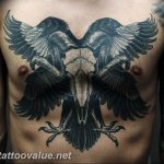 photo tattoo raven on the skull 18.02.2019 №142 - tattoo with skull and raven - tattoovalue.net