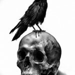 photo tattoo raven on the skull 18.02.2019 №002 - tattoo with skull and raven - tattoovalue.net