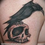 photo tattoo raven on the skull 18.02.2019 №003 - tattoo with skull and raven - tattoovalue.net