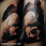 photo tattoo raven on the skull 18.02.2019 №005 - tattoo with skull and raven - tattoovalue.net