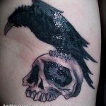 photo tattoo raven on the skull 18.02.2019 №011 - tattoo with skull and raven - tattoovalue.net