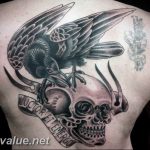photo tattoo raven on the skull 18.02.2019 №012 - tattoo with skull and raven - tattoovalue.net