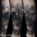 photo tattoo raven on the skull 18.02.2019 №014 - tattoo with skull and raven - tattoovalue.net