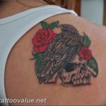photo tattoo raven on the skull 18.02.2019 №017 - tattoo with skull and raven - tattoovalue.net