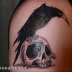photo tattoo raven on the skull 18.02.2019 №029 - tattoo with skull and raven - tattoovalue.net