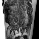 photo tattoo raven on the skull 18.02.2019 №031 - tattoo with skull and raven - tattoovalue.net