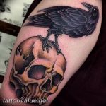 photo tattoo raven on the skull 18.02.2019 №062 - tattoo with skull and raven - tattoovalue.net