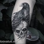 photo tattoo raven on the skull 18.02.2019 №067 - tattoo with skull and raven - tattoovalue.net