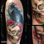 photo tattoo raven on the skull 18.02.2019 №069 - tattoo with skull and raven - tattoovalue.net