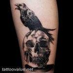 photo tattoo raven on the skull 18.02.2019 №072 - tattoo with skull and raven - tattoovalue.net