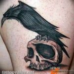 photo tattoo raven on the skull 18.02.2019 №080 - tattoo with skull and raven - tattoovalue.net