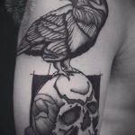 photo tattoo raven on the skull 18.02.2019 №083 - tattoo with skull and raven - tattoovalue.net