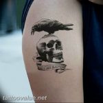 photo tattoo raven on the skull 18.02.2019 №088 - tattoo with skull and raven - tattoovalue.net