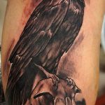 photo tattoo raven on the skull 18.02.2019 №089 - tattoo with skull and raven - tattoovalue.net