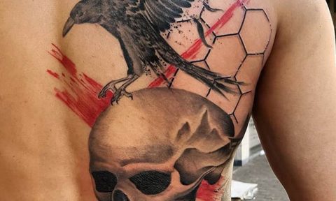 photo tattoo raven on the skull 18.02.2019 №100 - tattoo with skull and raven - tattoovalue.net