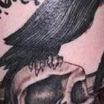 photo tattoo raven on the skull 18.02.2019 №110 - tattoo with skull and raven - tattoovalue.net