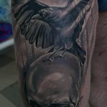 photo tattoo raven on the skull 18.02.2019 №121 - tattoo with skull and raven - tattoovalue.net