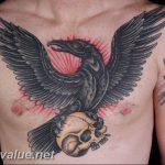photo tattoo raven on the skull 18.02.2019 №122 - tattoo with skull and raven - tattoovalue.net