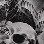 photo tattoo raven on the skull 18.02.2019 №125 - tattoo with skull and raven - tattoovalue.net