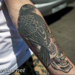 photo tattoo raven on the skull 18.02.2019 №126 - tattoo with skull and raven - tattoovalue.net