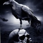 photo tattoo raven on the skull 18.02.2019 №132 - tattoo with skull and raven - tattoovalue.net