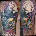 photo tattoo raven on the skull 18.02.2019 №134 - tattoo with skull and raven - tattoovalue.net