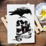 photo tattoo raven on the skull 18.02.2019 №135 - tattoo with skull and raven - tattoovalue.net