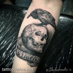 photo tattoo raven on the skull 18.02.2019 №137 - tattoo with skull and raven - tattoovalue.net