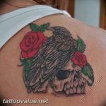 photo tattoo raven on the skull 18.02.2019 №143 - tattoo with skull and raven - tattoovalue.net