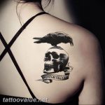 photo tattoo raven on the skull 18.02.2019 №145 - tattoo with skull and raven - tattoovalue.net