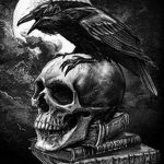 photo tattoo raven on the skull 18.02.2019 №147 - tattoo with skull and raven - tattoovalue.net