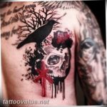 photo tattoo raven on the skull 18.02.2019 №149 - tattoo with skull and raven - tattoovalue.net