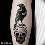 photo tattoo raven on the skull 18.02.2019 №156 - tattoo with skull and raven - tattoovalue.net