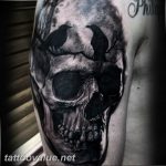 photo tattoo raven on the skull 18.02.2019 №157 - tattoo with skull and raven - tattoovalue.net