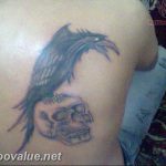 photo tattoo raven on the skull 18.02.2019 №162 - tattoo with skull and raven - tattoovalue.net