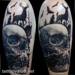 photo tattoo raven on the skull 18.02.2019 №164 - tattoo with skull and raven - tattoovalue.net