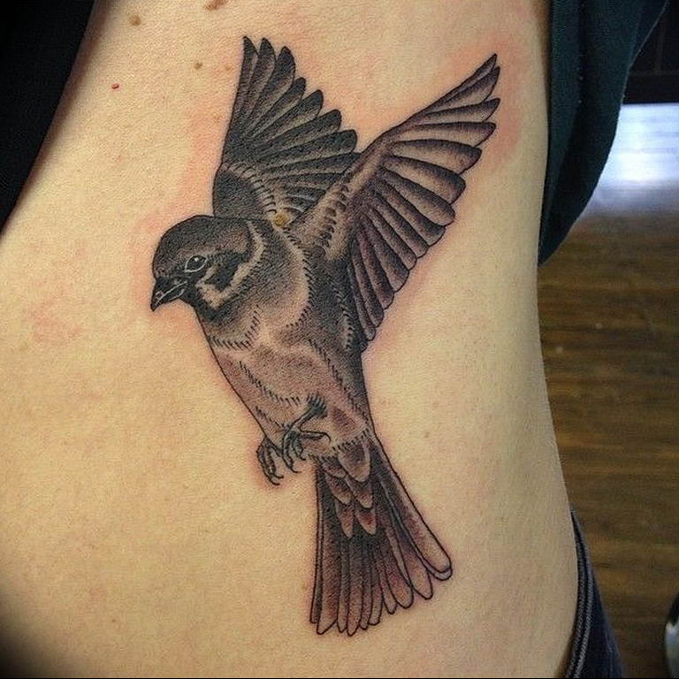 photo tattoo sparrow  №001 - sparrow tattoo idea -   